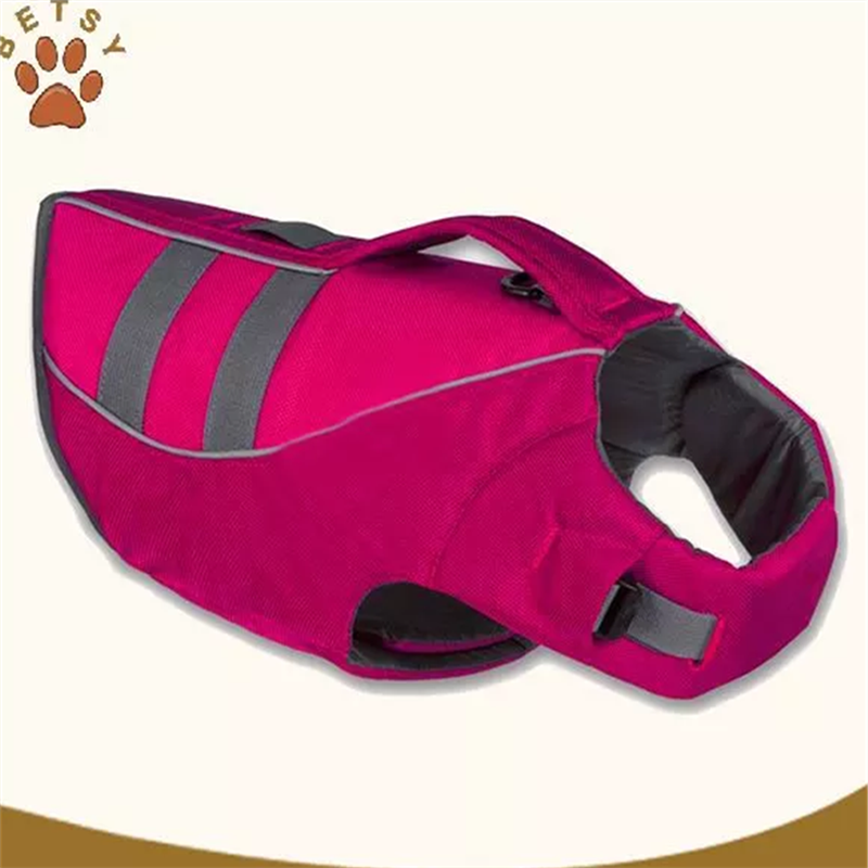 psí vesty, voda a bezpečnost