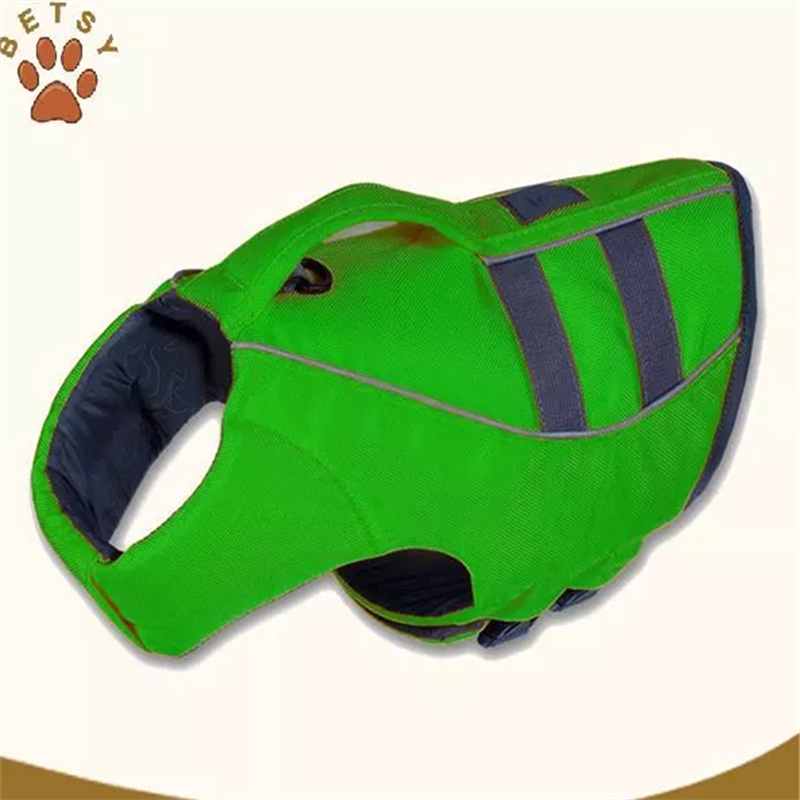 psí vesty, voda a bezpečnost