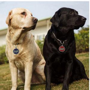 2018 Hot Sale câine sau pisica ID-ul de Tag-uri gravate sau QR Code Pet Tag