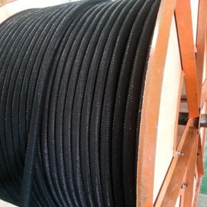 flexibil polimer conductor anod