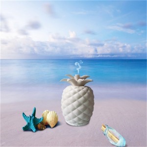 2018 nové vynálezy jedinečný ananasový keramický difuzor aroma