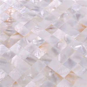 Přírodní 20 * 20 bílá surovina snižuje sprchové toaletní dlaždice