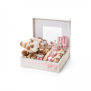 Hot prodej macaron balení krabice s víkem macaron box design