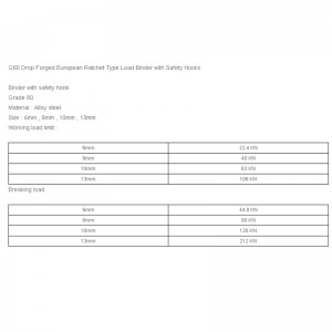 Pojízdné nakládací zařízení pro evropskou ráčnu typu G80 s bezpečnostními háky