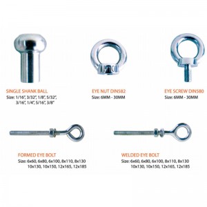 316 Kovaný šroub DIN580