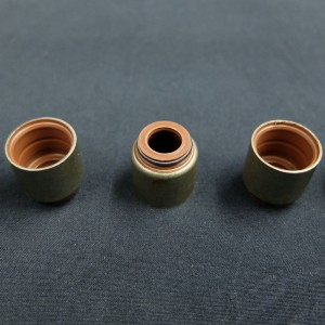 Čína dodavatel Valve olejové těsnění pro vozidla Renault