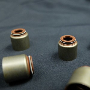 Čína dodavatel Valve olejové těsnění pro vozidla Renault