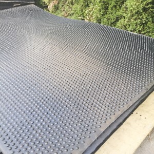 Tečkované hrče nejsou husté