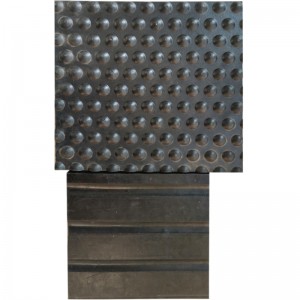 Tečkované hrče nejsou husté