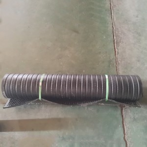 Tečkované hrče nejsou husté