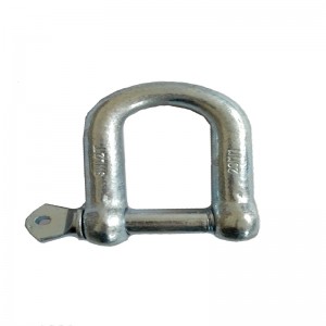 Dobrý výrobce Anchor D Shackle