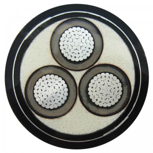 Stíněné a soustředěné neutrální napájecí kabely vysokého napětí, voda a mořské dno CSA C68.5