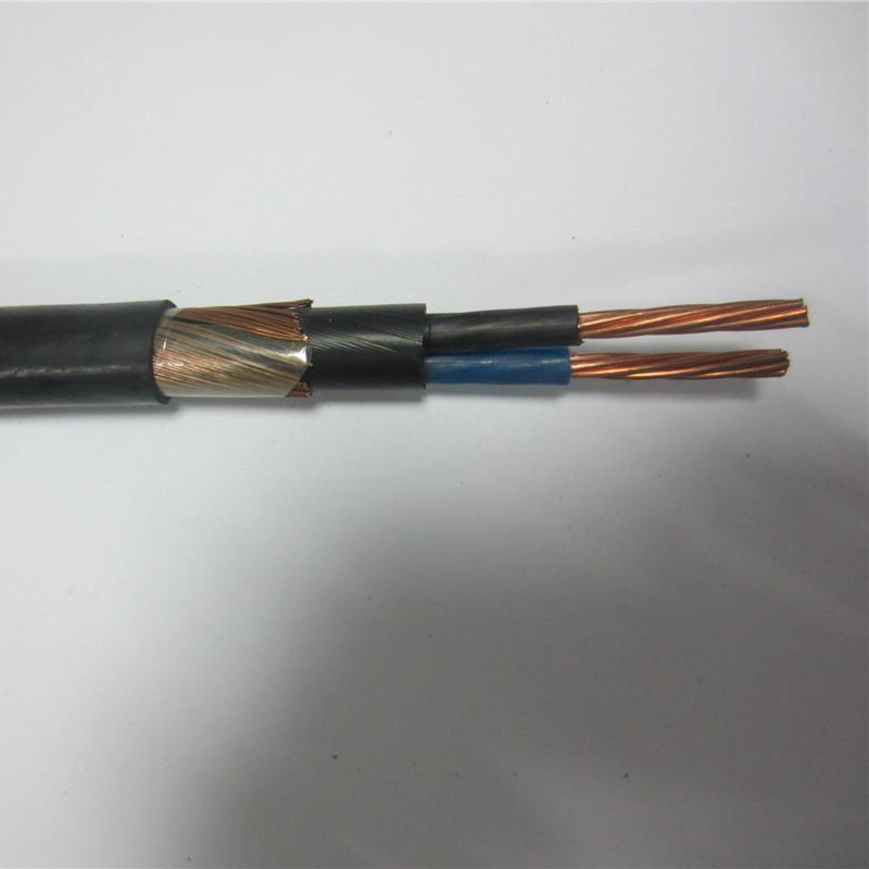 Soustředný kabel 16 mm 25 mm 2x8 2x10 3x6 3x8 AWG Napájecí kabel pro servisní vstup