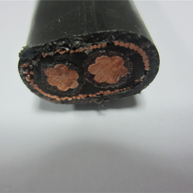 Soustředný kabel 16 mm 25 mm 2x8 2x10 3x6 3x8 AWG Napájecí kabel pro servisní vstup