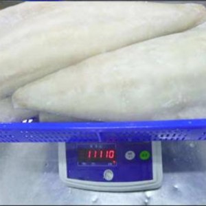 Zmrazené světlo solené filety z atlantického Saithe