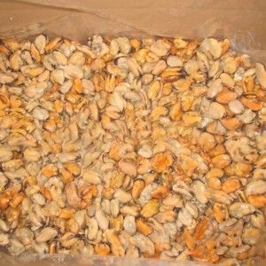 Mražené vařené mušlové maso