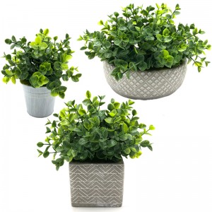 Umělá realistická sukulentní rostlina zelených stromů tropická zahrada domova