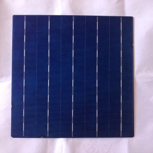 Polykrystalická buňka