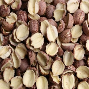 jádro stroje na odstraňování okrajů lotosového semene