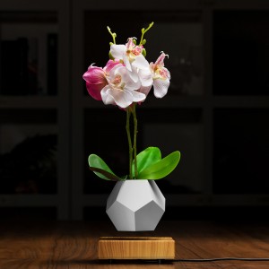 magnetická levitace plovoucí rostlinná nádoba vzduchu bonsaje PA-0708