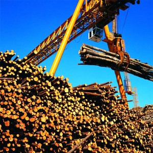 Portálový jeřáb s Grabem