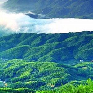 2000g aur fuzhuan hunan anhua ceai negru ceai de îngrijire a sănătății