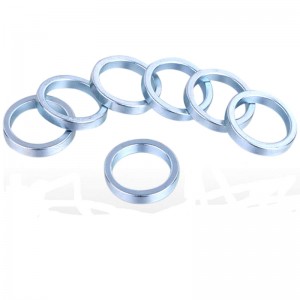 Přizpůsobte monopólový prstenový magnet.