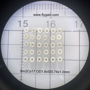 Čína výrobce Micro Precision Malý magnet pro motor