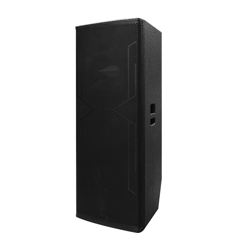 Velký DJ reproduktor Y-450DH