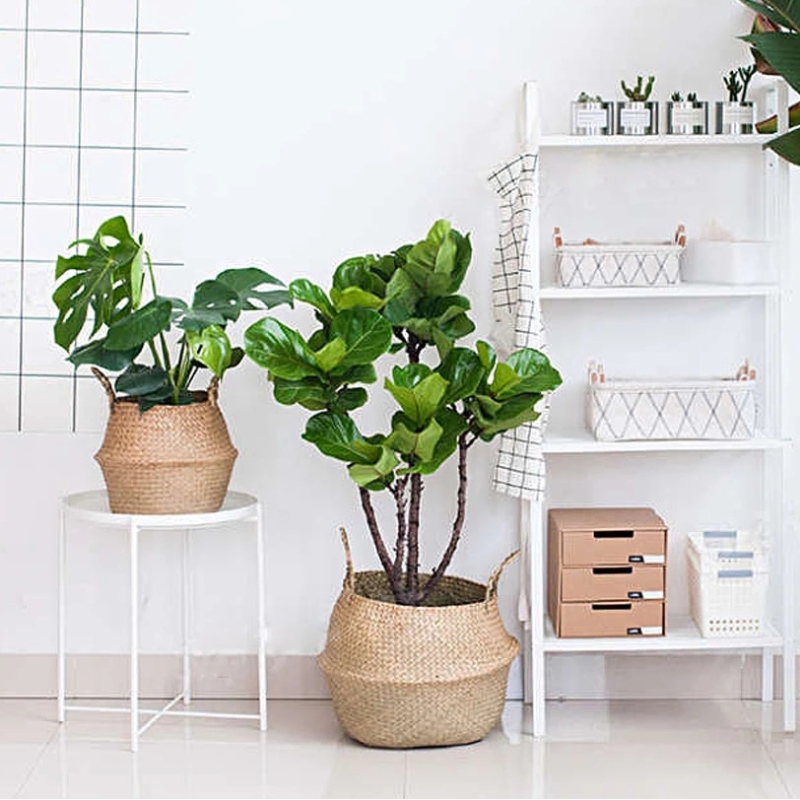 Rostlinný stojan tkaný mořský řasy košík pro skladování visí koš mořských řas