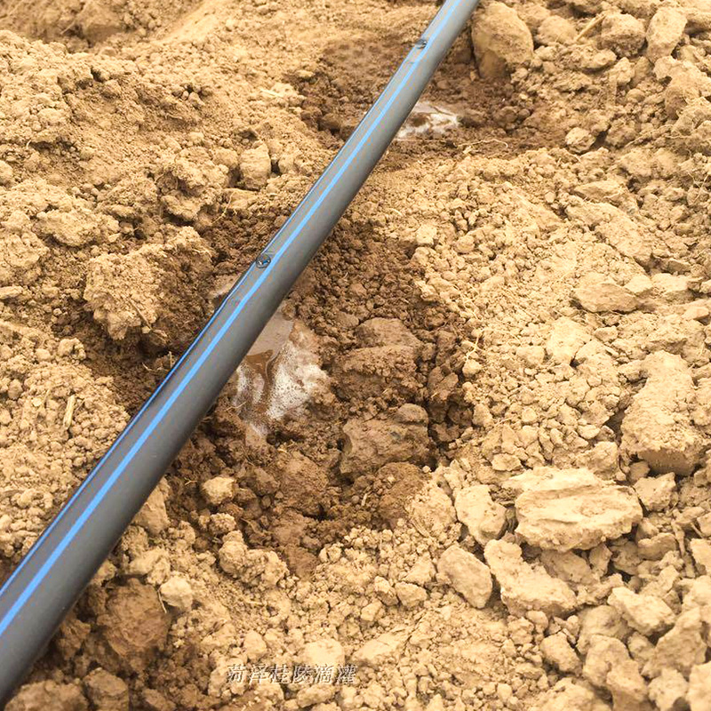 Jaké jsou hlavní součásti kapacího zavlažovacího systému?