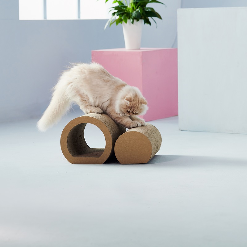 KOCOUROVÉ KRATCHY 2