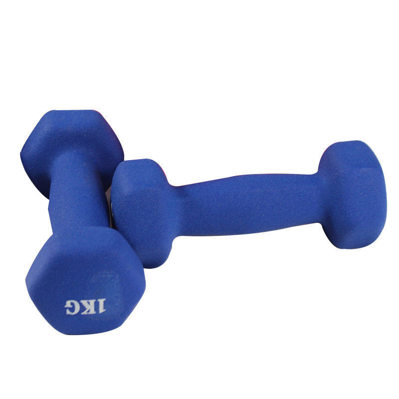 Hot Sale Fitness Body Building Dumbbells for Body Building Fitness Dumbbell