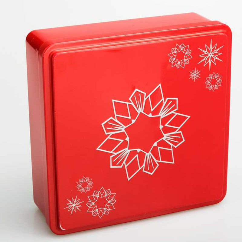 Tin Box for Cookies DR0068A-01 190&Up;120;170x45