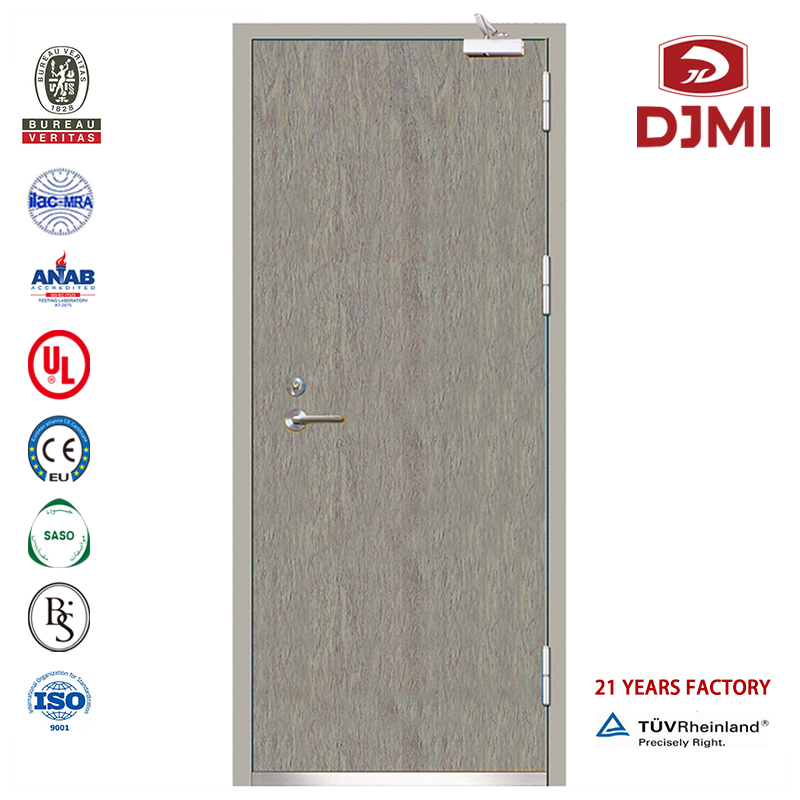 Čínská továrna v komerčním přístupu k motoru Tepelná odolnost Ocelové protipožární dveře Vysoce kvalitní 2 panely Bs Požár s vnitřní bezpečností Lepidlo odolné proti výbuchu Ocelové dveře Levné hodnocené protip...