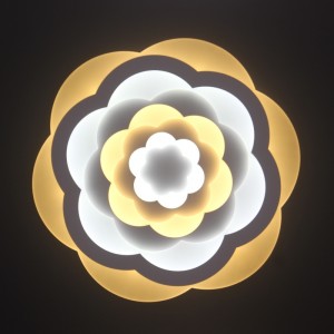 Stropní světlo AC805