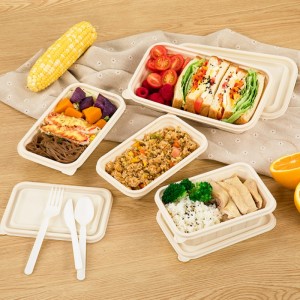 Eco friendly BPA free jednorázové bene to lunch box takeway package box Biologicky rozložitelný potravinový kontejner