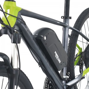 S6-1 EBIKE