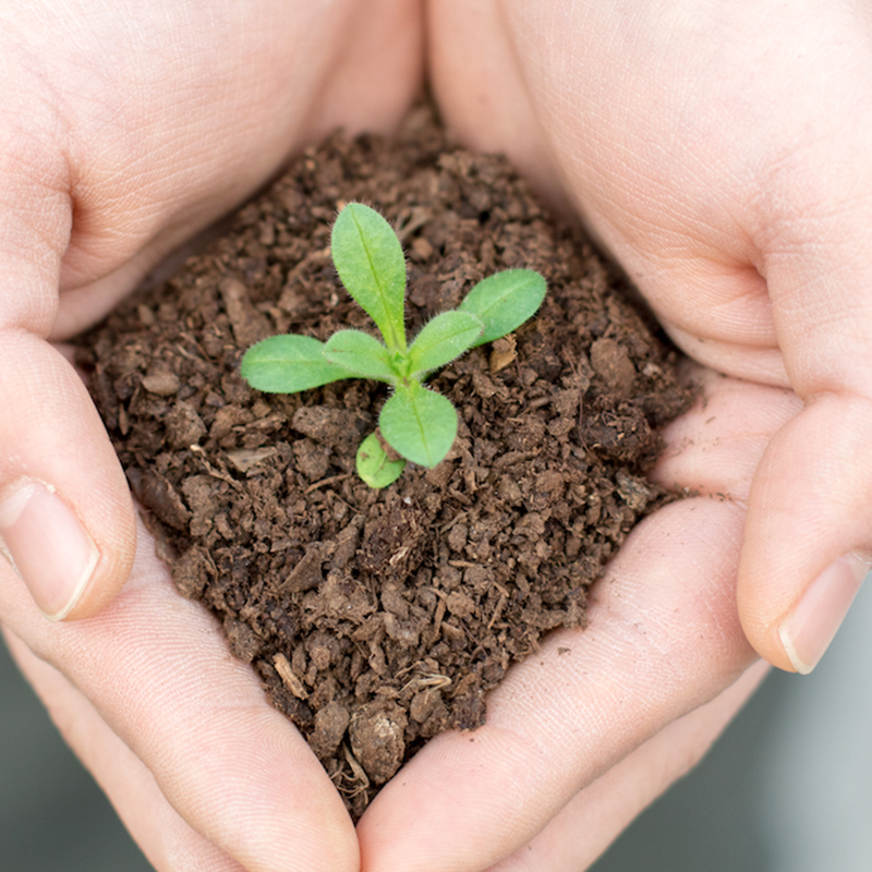 Vynikající produkt3.