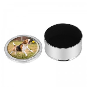 Kovová urna na popel pro psy