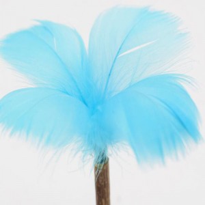 Lízátkona kočku Cat Mint