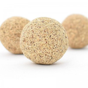 Polygonum Cuspidatum.