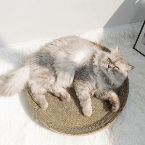 Cherry kočka chytit mísa