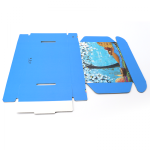 Tuck Subscription Balení Obaly tisk Barevné vlnitý papír Přepravní modré Vlastní logo Mailer Box