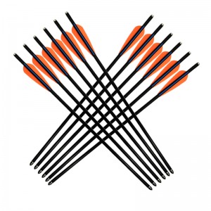 Elong venkovní 117001 17inch 8850 Sklolaminátové šroubové lukostřelba střelba zařízení Choosbow Bolt