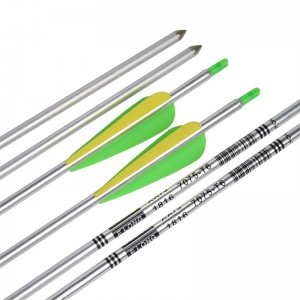 Elong venkovní 116062 30 ink SP650 hliníku šipka stříbrná barva pro střelbu lukostřelby