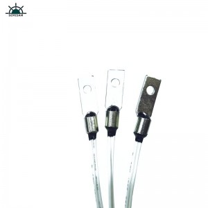 Čína továrna OEM přizpůsobit B Value 4050K 10K OHM NTC Termistor Teplotní snímač teploty pro 3D tiskový stroj