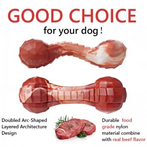 Super žvýkání hračka kostí