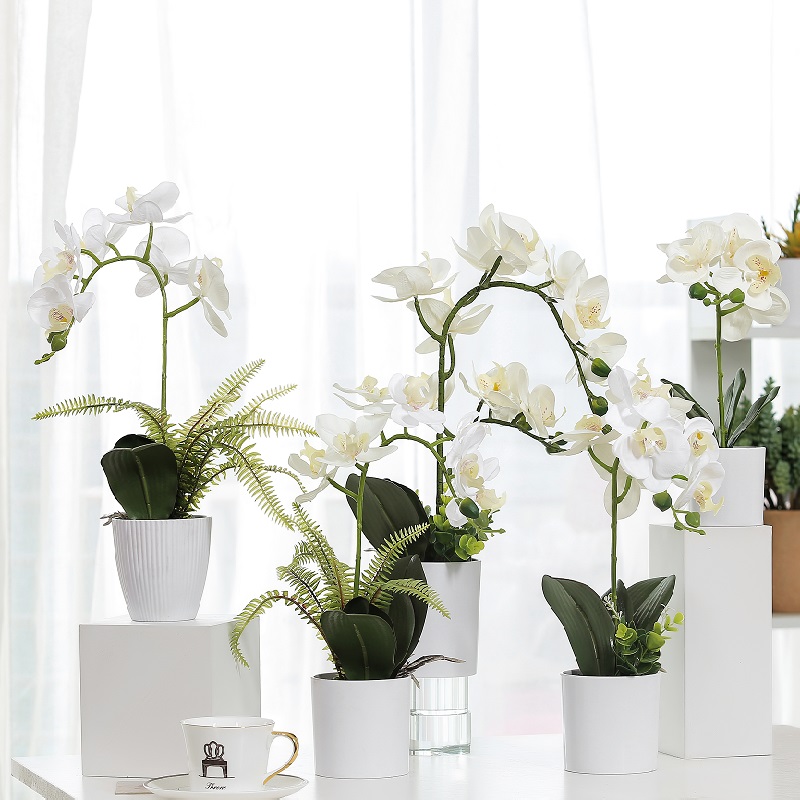 Hot prodávat skutečný dotek hrnkové umělé orchideje