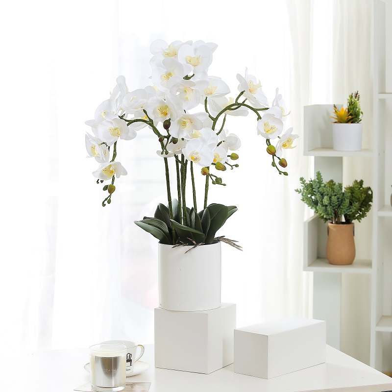 Hot prodávat skutečný dotek hrnkové umělé orchideje